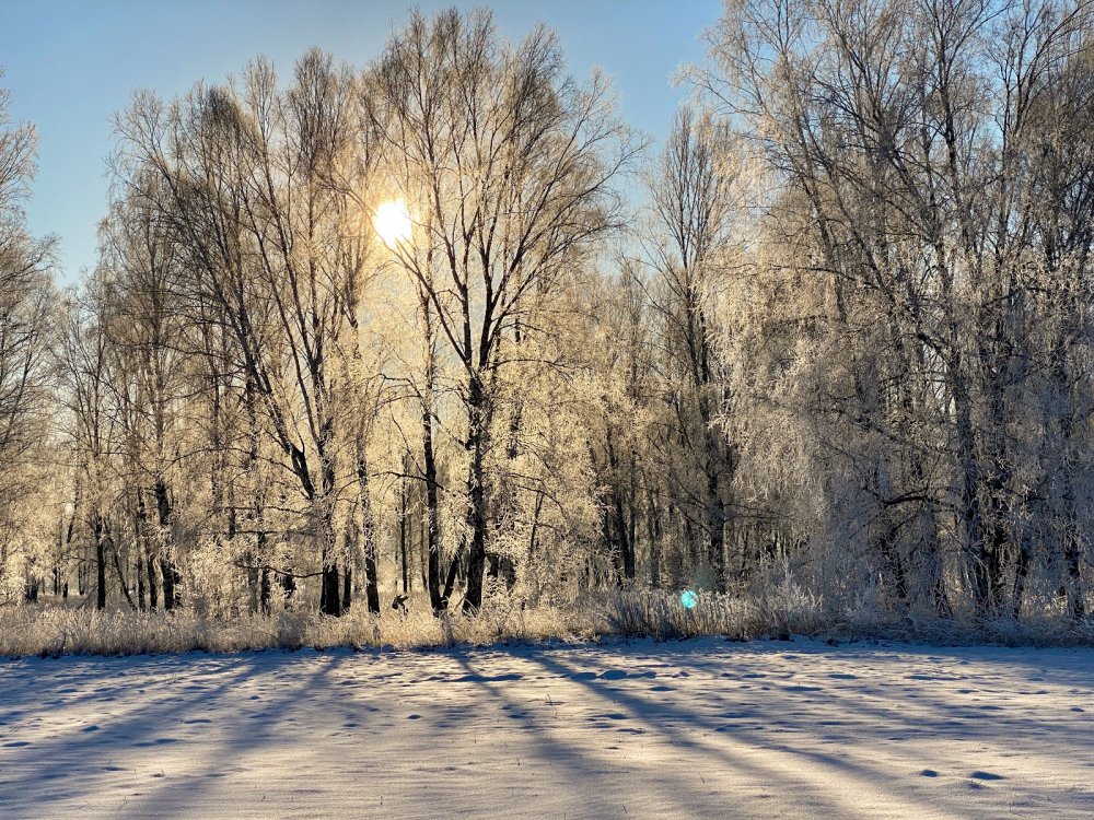 Морозное утро
