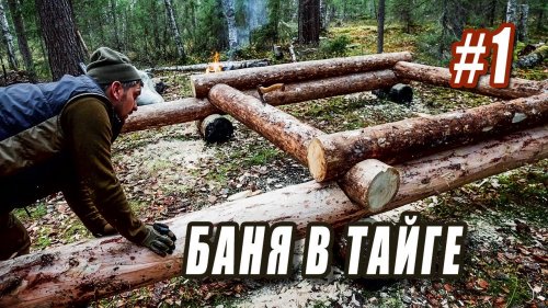 ЛЕСНАЯ БАНЯ. НАЧАЛО СТРОЙКИ. Серия 1.