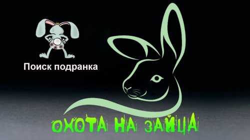 Охота на зайца. Поиски подранка