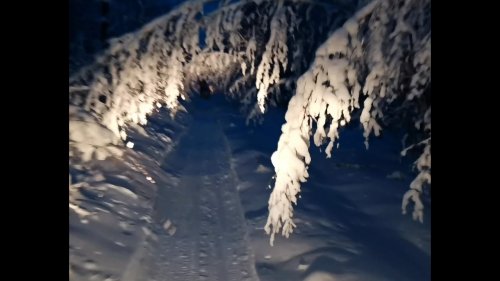 Охота на лося, как она есть.