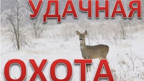 Удачная охота на косулю. закрыли 2 лицензии. Successful roe deer hunt. closed 2 licenses. 4K