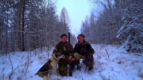 Удачная охота по глухарю!// Охота с лайкой! С братом на охоте! Обзор нового ножа"