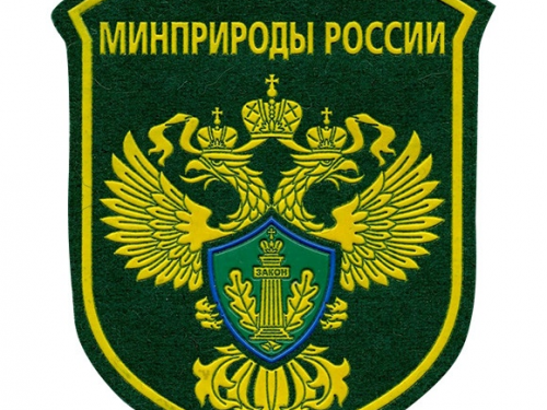 Минприроды задумалось о плановом восстановлении численности охотничьих животных
