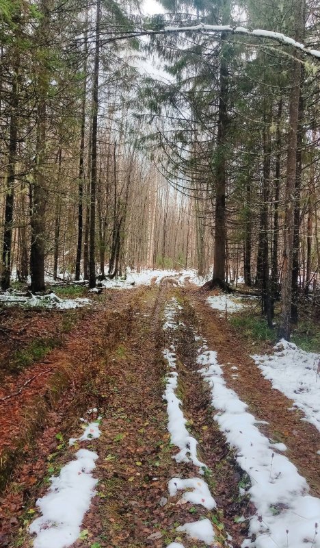 первый снег