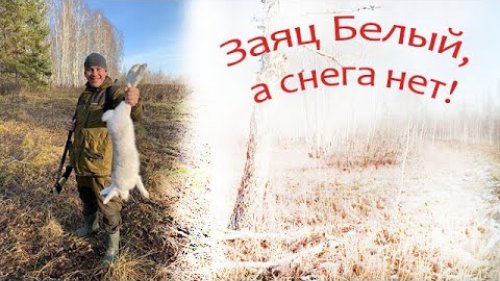 Охота по чернотропу. Первый заяц сезона 2020