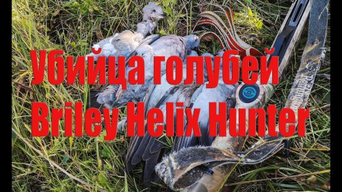 Трёх дневная охота на вяхиря. Вяхирь на пролете. Oктябрь 2020. Wild pigeon hunting on the flight.
