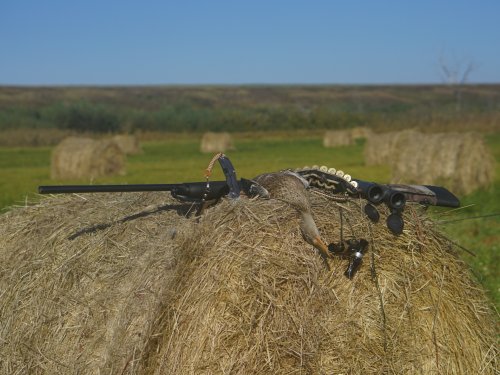 Сенокос