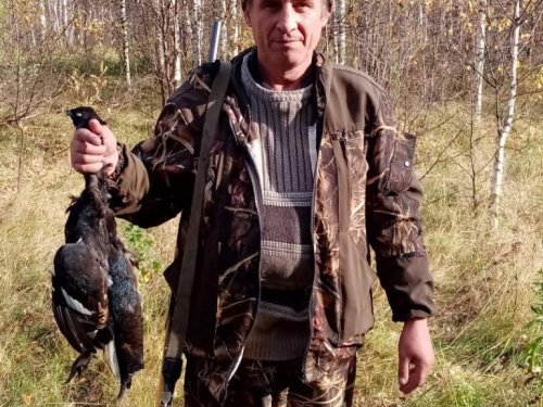 тетерев