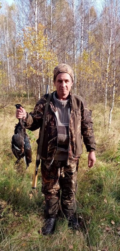 тетерев