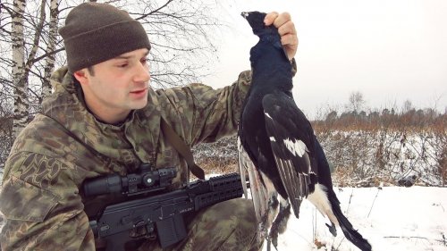 Охота на тетерева с подхода по снегу. Охота с Сайгой 308.