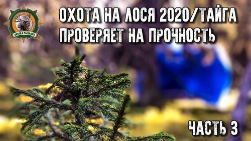 Охота на лося 2020/Тайга проверяет нас на прочность/6 дней в лесу/Часть 3