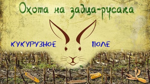 Охота на зайца. Мастера маскировки.
