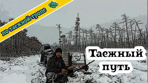 Охота. Жизнь в лесу. Таежный путь.