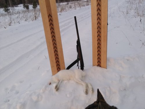 Пёсик поработал)