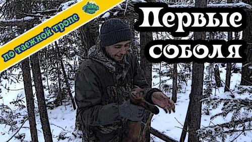 Жизнь в тайге. Охота. Первые соболя.