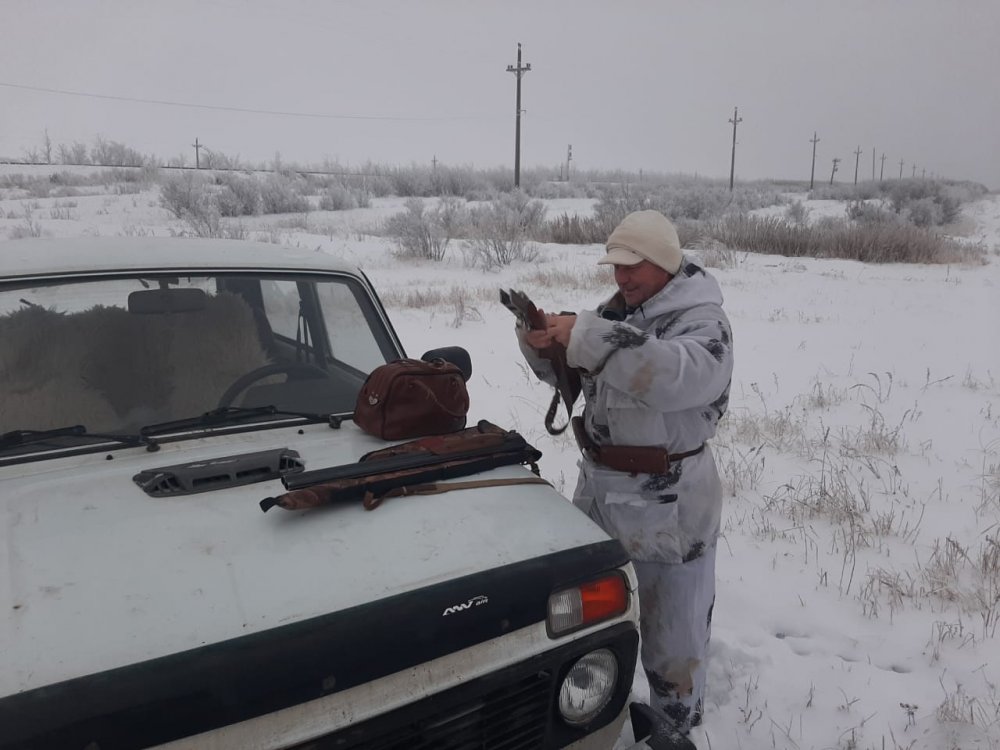 Отчего то радостно)))