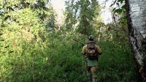 Пошел за рябчиком, а добыл утку / Собираю грибы / Медведь где-то рядом
