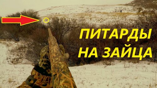 И откуда здесь столько зайцев. Охота на зайцев 2020 2021 / MAX HUNTER