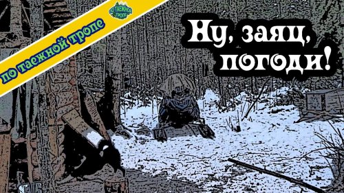 За зайцем