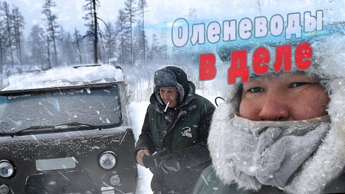 Охрана территории от хищников. В строй прибыло 2 бурана.