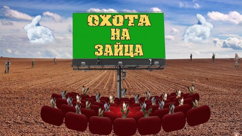 Охота на зайца. Где искать ушастого бегуна?