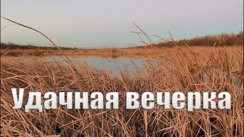 Три дня подряд на вечернем перелете. Охота на уток зимой,Удачные вечерки. Evening duck hunting 2020.