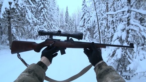 Охота с мелкашкой. Охота с тоз 78-01м 22LR.