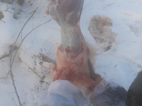 С жирком...