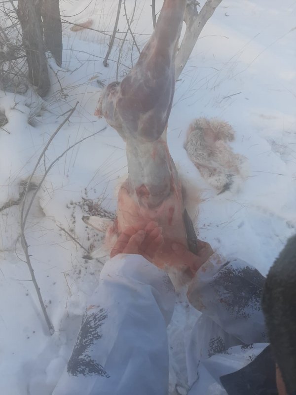 С жирком...