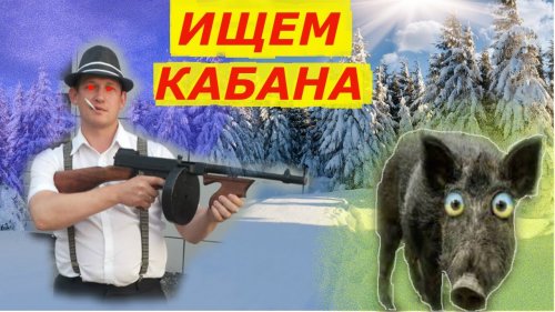 По следам кабанов