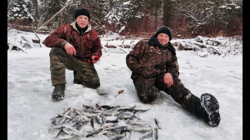 В тайгу за хариусом. Таёжные реки Сибири.