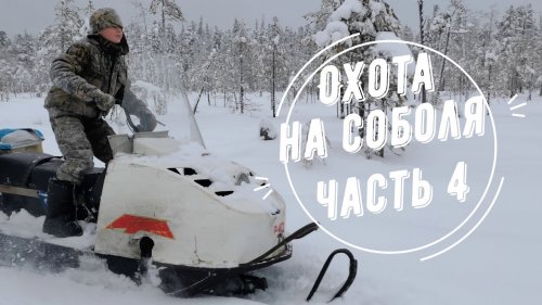 Охота на соболя.  Часть 4.
