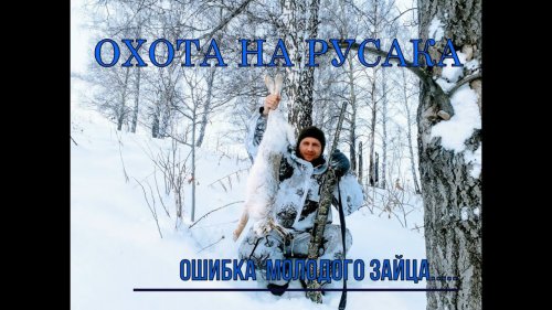 Охота на  русака! Ошибка молодого зайца....