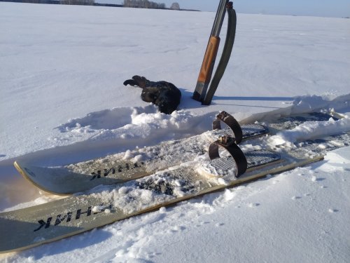 -30 прогулялся