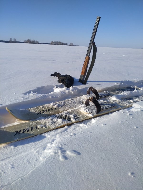 -30 прогулялся