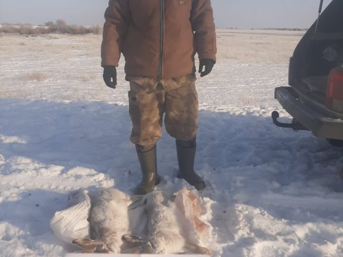 Получилось...