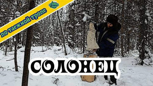 Строительство солонца. На охотничьем участке солонец для лося своими руками. По таежной тропе.