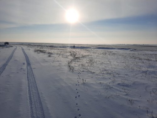 Петля от косого...