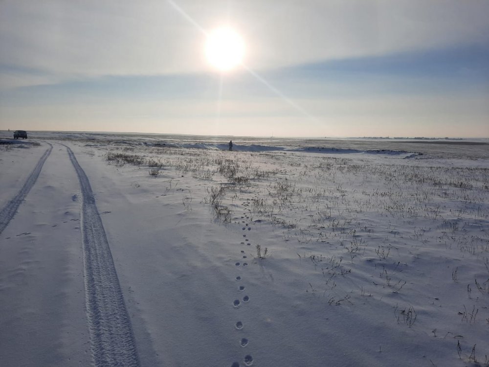 Петля от косого...