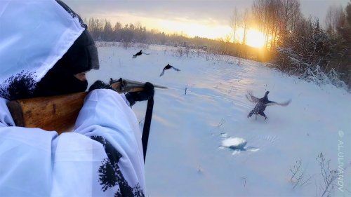 Зимняя охота на тетерева на лунках.