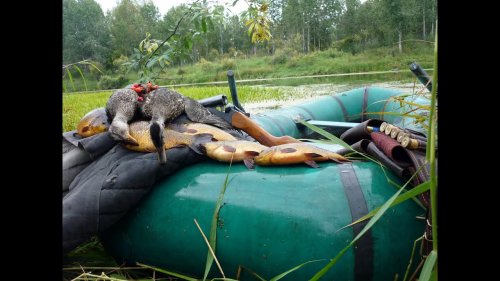 Рождественская утка! Утка в сливках! Нежнейшее мясо птицы!