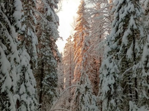 короток зимний день