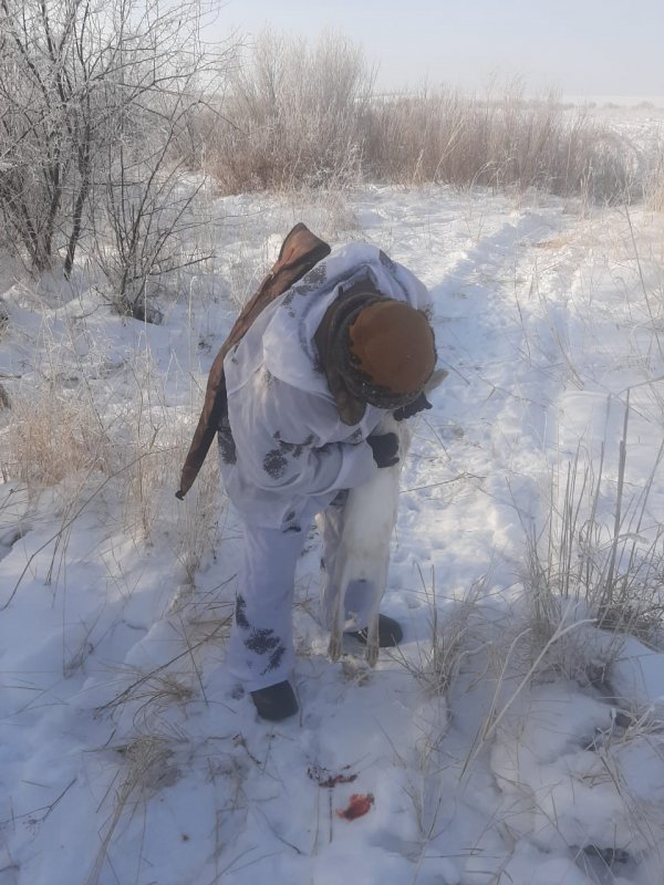 Взаимозачет))))