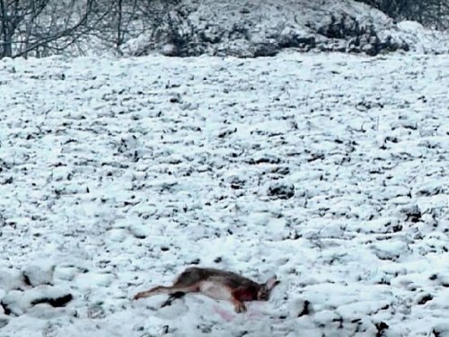 В мороз на пахоте.