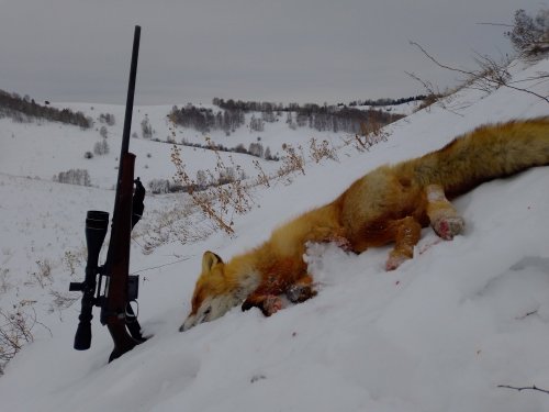 Выбрался сегодня после морозов