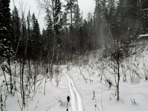 Январь