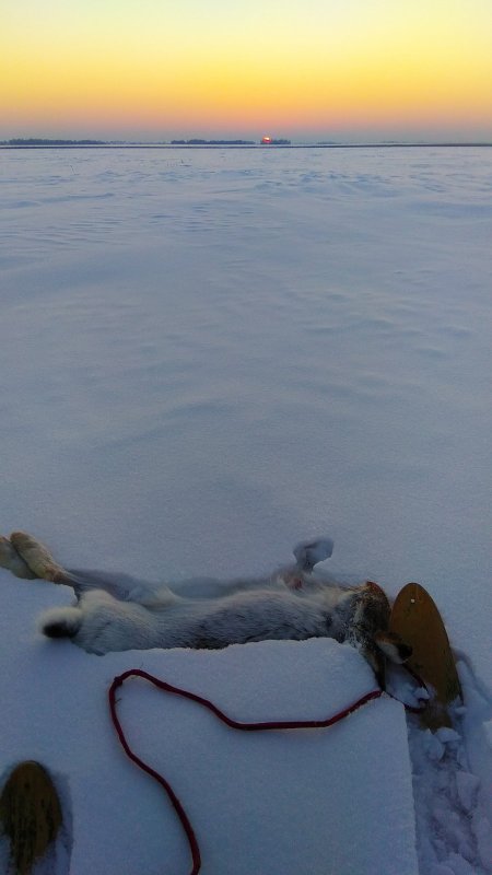 А домой идти ещё так далеко!