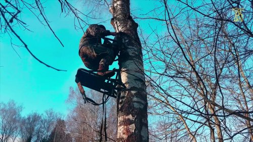 Это Провал! Охота на оленя с ДЕРЕВА из лука и арбалета
