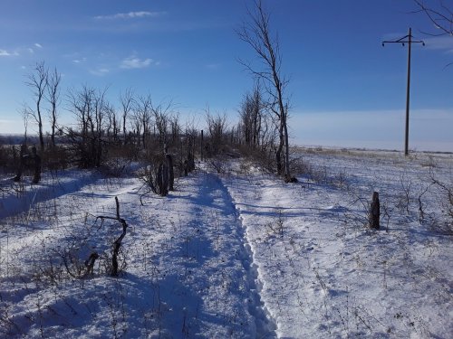 Рождественские выходные