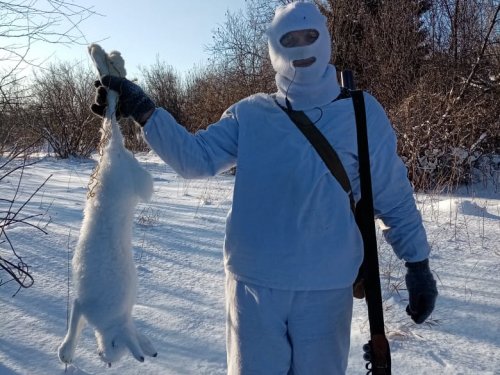А вот и зайка